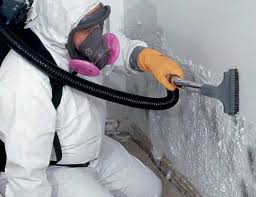 Best Commercial Mold Inspection  in Sedalia, MO